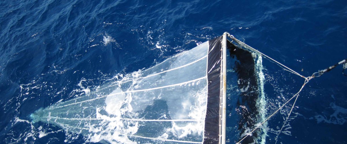 Interdisciplinary Background of CSMA