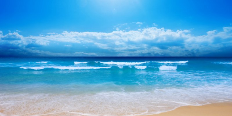 CSMA Certificate launch 